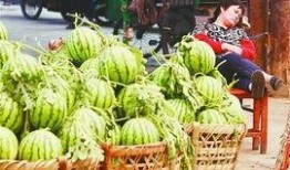 菏泽郓城吃瓜最新事件爆料,最新爆料揭示惊人内幕